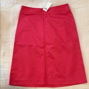 NWT Pink A linke Skirt Banana Republic